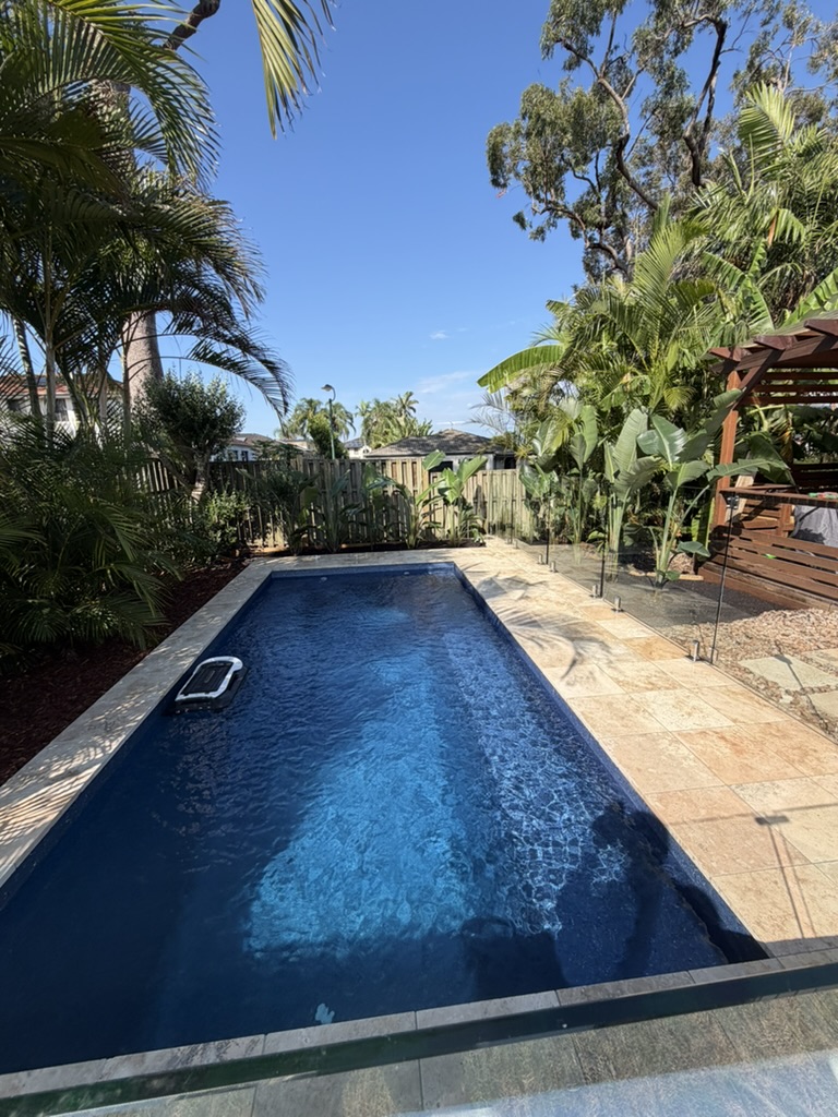 Tropical backyard pool with palm trees and glass fencing
